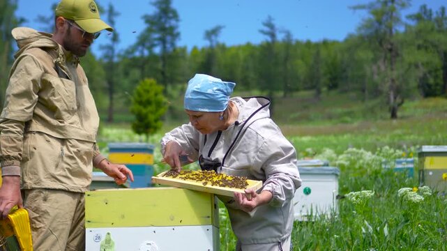 A cinematic medium shot of two beekeepers working together and pointing a finger at a honeycomb frame during quality control at a mountain apiary. 