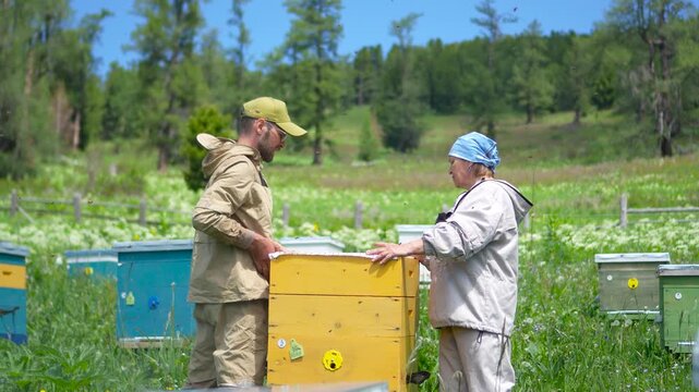 A cinematic medium shot of two professional beekeepers opening a wooden hive box and looking inside together at a mountain apiary.