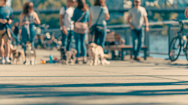 Blurred Blue Waterfront Dog Walking Club with People and Bicycle, Ground Level Perspective in a Sunny Urban Setting for Healthy Lifestyle Advertising Background