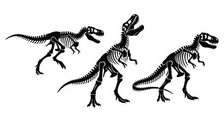 Dinosaur Skeletons In Dynamic Poses Black Silhouette © asma