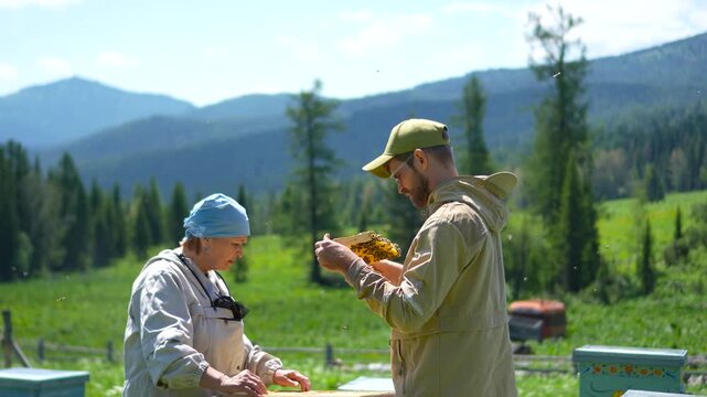 A cinematic wide shot of two professional beekeepers working together and examining a fresh honeycomb frame at a breathtaking mountain apiary.