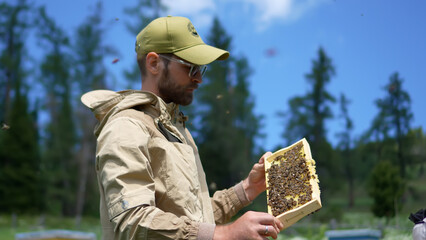 A detailed medium close-up portrait of a professional beekeeper examining a fresh honeycomb frame full of bees at a mountain farm. © OlTarakanov