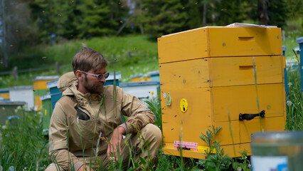 A scenic wide portrait of a professional beekeeper managing a bright yellow hive box on a beautiful blooming mountain meadow. © OlTarakanov