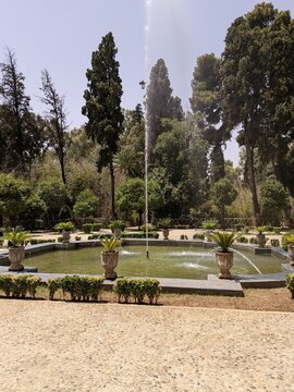 Large Fountain Jnan Sbil Garden Fes Morocco Pond and Tall Trees