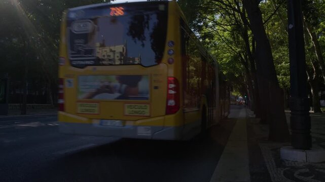 Tree Lined Avenida da Liberdade in Lisbon Portugal During Summer Golden Hour Shot with Cinema Camera