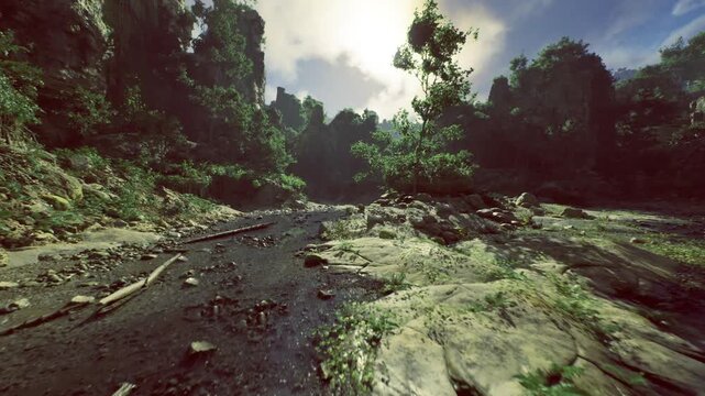 sunlit riverbed strewn with driftwood and pebbles, glistening wet stones reflect sky, scattered logs create natural textures and patterns, atmosphere
