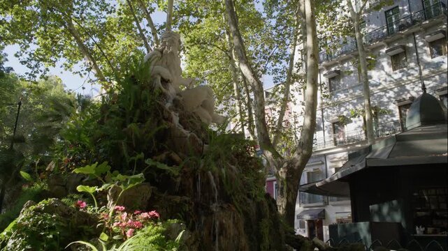Ancient Tree Trunk and Garden on Avenida da Liberdade in Lisbon Portugal Summer Shot with Cinema Camera