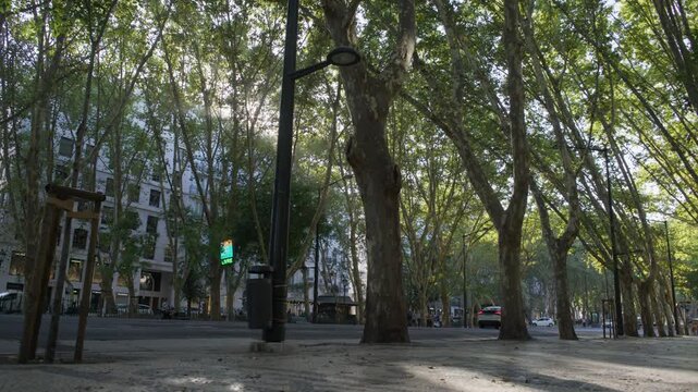 Summer Golden Hour View Along Avenida da Liberdade in Lisbon Portugal Shot with Cinema Camera
