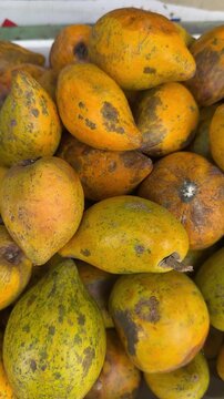 Fresh canistel fruits in market display. Tropical yellow eggfruit pile.