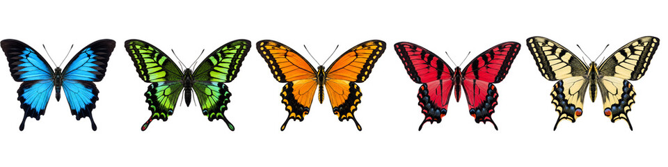 Naklejka premium Set of colorful butterflies isolated on white background