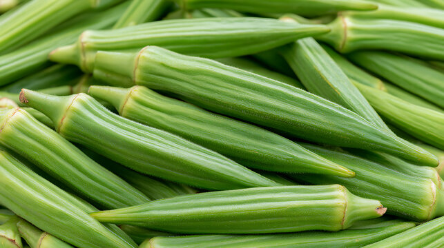 Fresh, vibrant green pods of healthy Abelmoschus esculentus for cooking and nutritious meals, close up, farm fresh harvest
