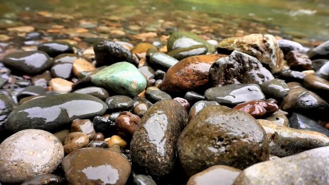 Close-up view of wet, smooth river stones and pebbles on a shallow stream bed, glistening with water.