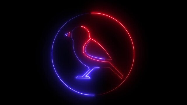 Neon dove bird icon brown cyan color glowing animated black background