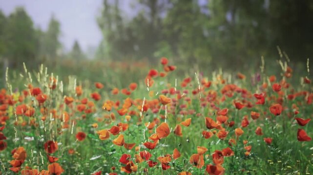 Colorful floral habitat. Bright flower field teeming with buzzing pollinators. Vivid poppy landscape bustling with insects and tall grasses thriving