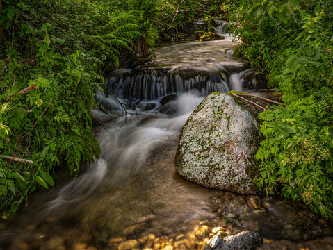 Mossy Rock Beside Flowing Forest Stream With Small Waterfall and Lush Greenery