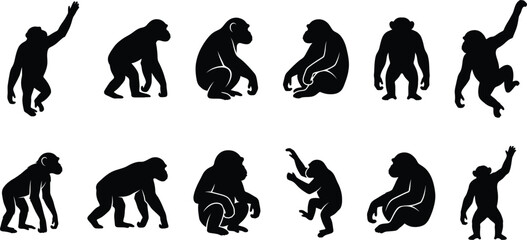 Set of black silhouette monkey icons in various poses for a creative animal vector design project © Samsul