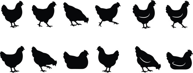 Set of black chicken silhouettes for farm design elements in a professional animal vector graphic collection © Samsul