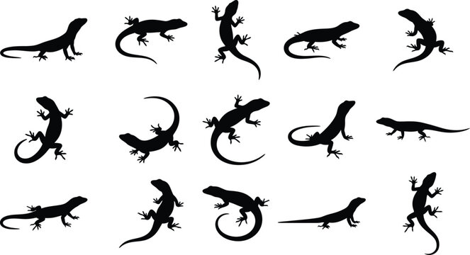 Set of black lizard silhouettes in various poses isolated on white background for animal vector design projects