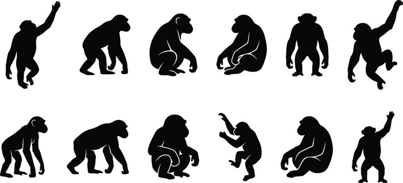 Set of black silhouette monkey icons in various poses for a creative animal vector design project