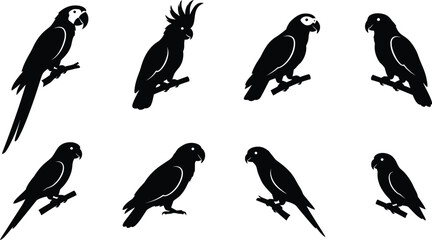 Set of black silhouette parrot icons representing a detailed animal vector collection for graphic design projects © Samsul