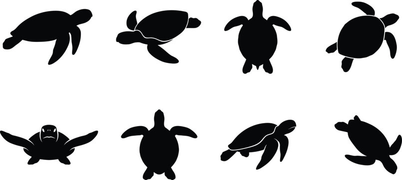 Set of sea turtle silhouettes isolated on white background for your creative animal vector design projects