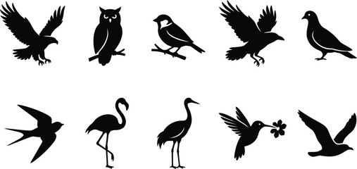 Obraz premium Collection of various bird silhouettes including eagle owl sparrow flamingo crane hummingbird and seagull isolated on white background