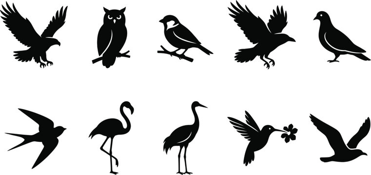 Collection of various bird silhouettes including eagle owl sparrow flamingo crane hummingbird and seagull isolated on white background