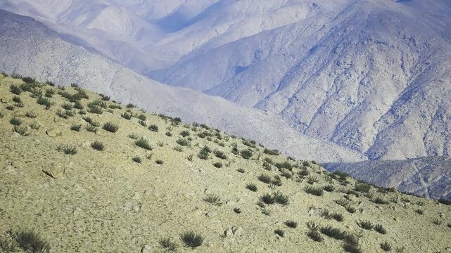 Sparse nepal foothill with distant peaks, low scrub and dry grass on diagonal slope, soft blue haze over layered mountains, minimalist calm mood