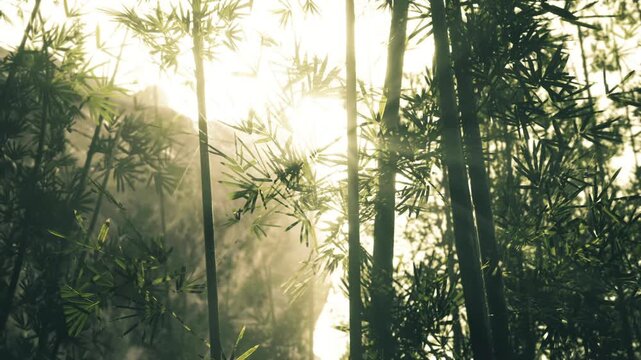 Dramatic sunrays cutting through misty canopy, illuminated dust and foliage, highcontrast tones create cinematic suspense with serene undertone.