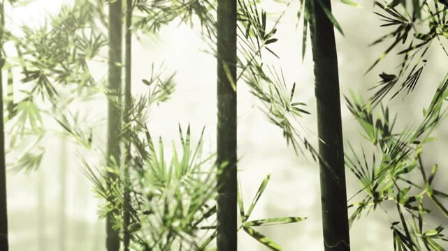 Vertical bamboo pattern creating abstract nature background, repetitive trunks form rhythmic lines, soft light and subtle blur produce modern organic texture