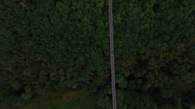 Top down view of Geierlay suspension bridge over dark forest greenery