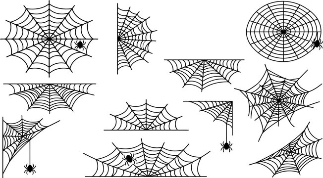 Set of spider webs and spiders