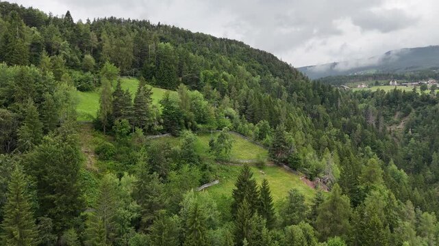 Aerial view flying over green pine forest and alpine meadows in South Tyrol Italy under cloudy cloudy sky