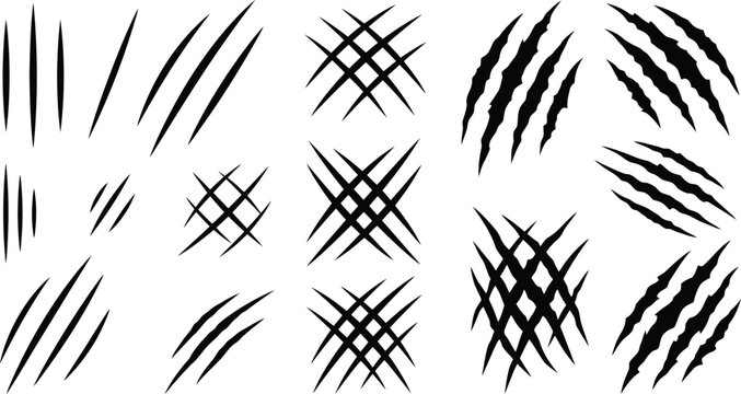 Set of claw scratch marks