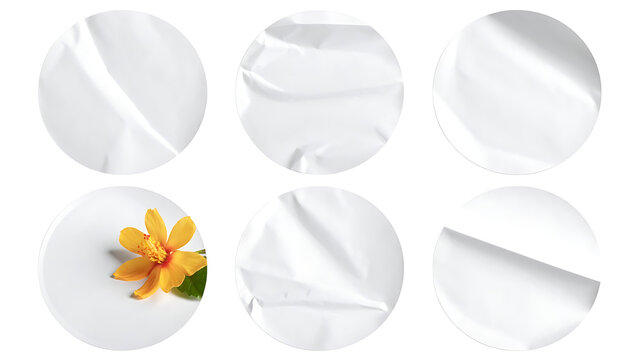 Set of six round white objects with crumpled texture and one with a yellow flower and green leaves