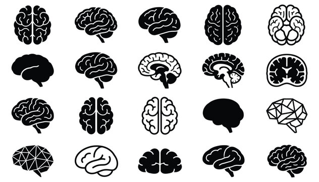 Set of various human brain icons showing different perspectives and anatomical views for medical and scientific design projects