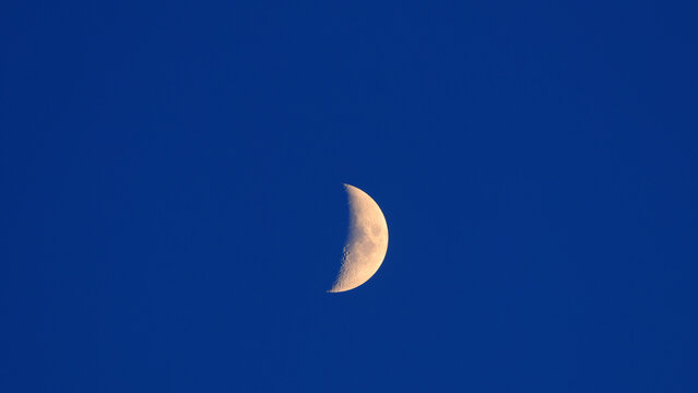Half Moon on a blue morning-evening skies.