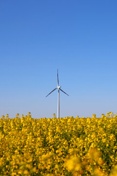Wind turbines at sunset in green field &ndash; renewable energy, clean power, sustainable future.