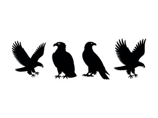 Fototapeta premium Six black silhouettes of majestic eagles and hawks in various flying and standing poses, a powerful graphic icon set for emblems or logos representing freedom and strength 
