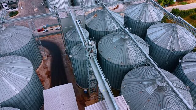 Circling over the huge metal tanks at the modern plant. Birds fly over the silos with grain.