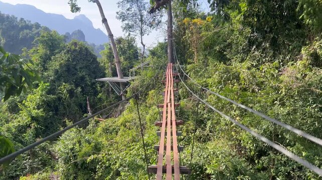 Walking on the rope bridge between trees, Vang Vieng Zip-line, Laos