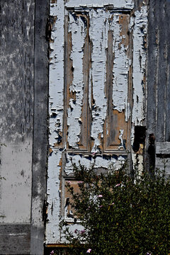 Little used old weathered wooden door with peeling paint 