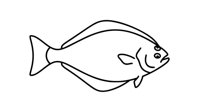 Halibut fish vector icon illustration, simple flat line art design of a saltwater flatfish, clean black outline graphic element for marine life, seafood, or ocean themed creative design projects.