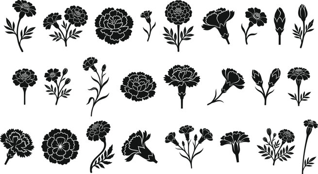 Set of hand drawn carnation flower vector illustrations in black ink style on white background