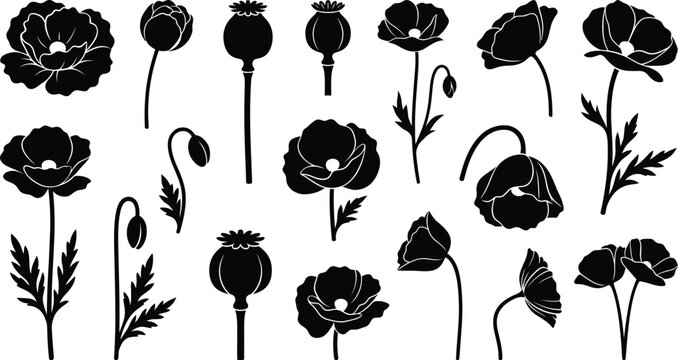 Set of hand drawn poppy flower vector illustrations featuring black ink silhouettes on a white background