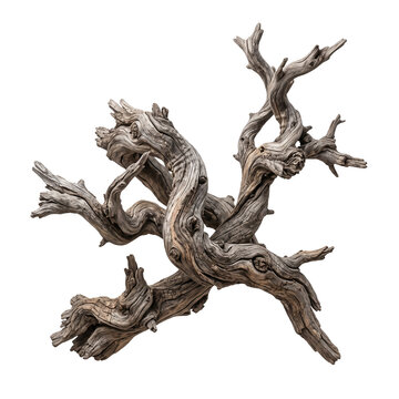 Twisted weathered driftwood sculpture with intricate patterns and natural knots against transparent checkered background, eerie organic shape.