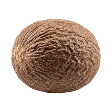 Whole nutmeg seed isolated on transparent background brown aromatic spice culinary ingredient textured exotic fruit dried seed cooking essential macro shot kitchen staple.