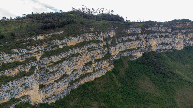 MONTA&Ntilde;A REVASH AMAZONAS