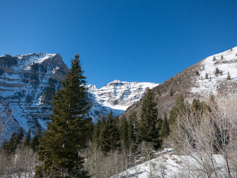 Snow-capped Mount Timpanogos with a bright blue cloudless sky.  Wasatch Mountains, Sundance, Utah on a cold winter afternoon.