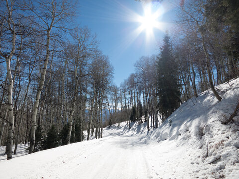 Sunburst and lens flare from the bright sun shining on the fresh snow.  Snowmobile tracks along Sundance Mountain, Wasatch Mountain Range, Sundance, Utah.